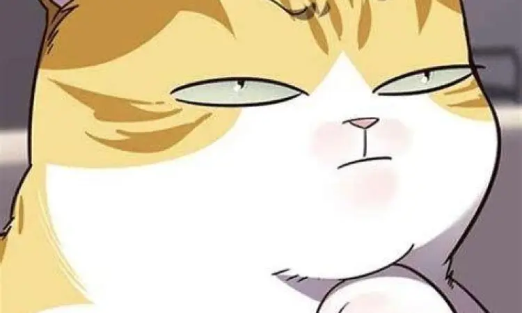 Kayden Cat Eleceed Kayden Break dalam bentuk kucing gemuk di manhwa Eleceed