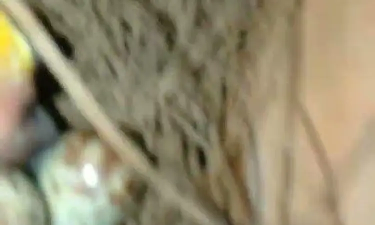 Misteri Liontin Nisekoi Liontin dan Kunci misterius dalam komik Nisekoi