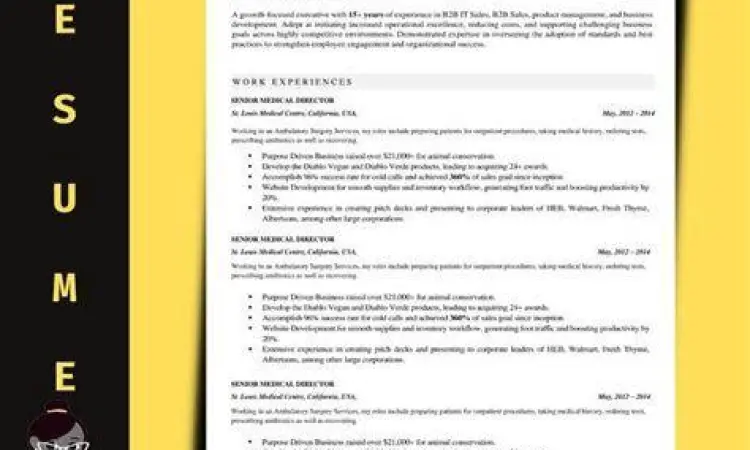 Update Resume memperbarui resume dan portofolio kerja