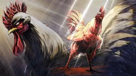 Keisuke Sang Pahlawan Unggas Pose keren Keisuke ayam jago dalam Rooster Fighter