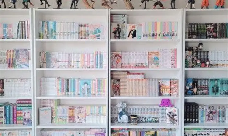 Koleksi Manga Berkualitas Rak buku yang penuh dengan koleksi manga berkualitas