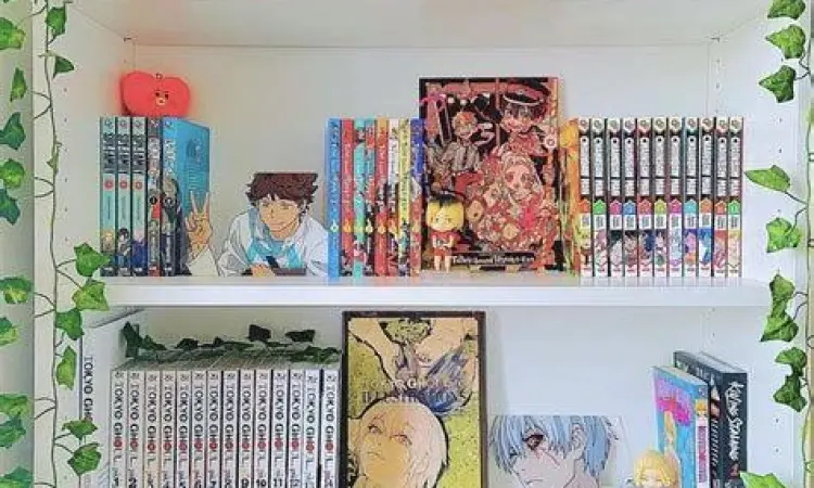 Koleksi manga fisik yang tertata rapi di rak buku