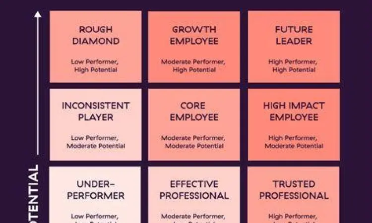 Visualisasi skill Pagma Successor milik Grid