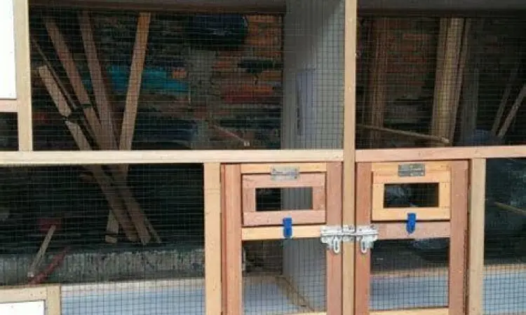 Gaya gambar Hikaru Katsuki dalam baby steps manga