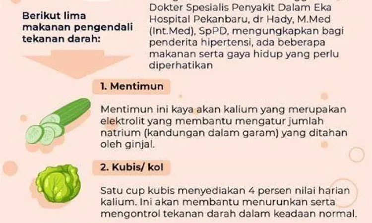 Kayden si Kucing Kayden Break dalam wujud kucing oranye gemuk