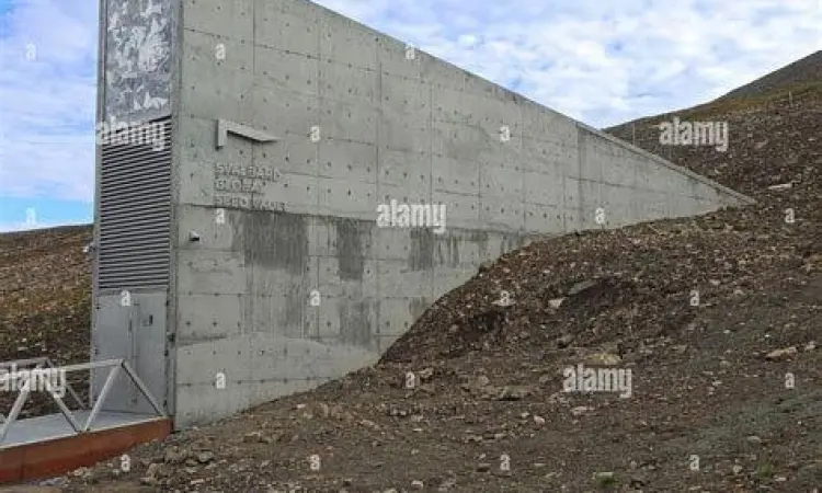 Gedung Svalbard Global Seed Vault di salju