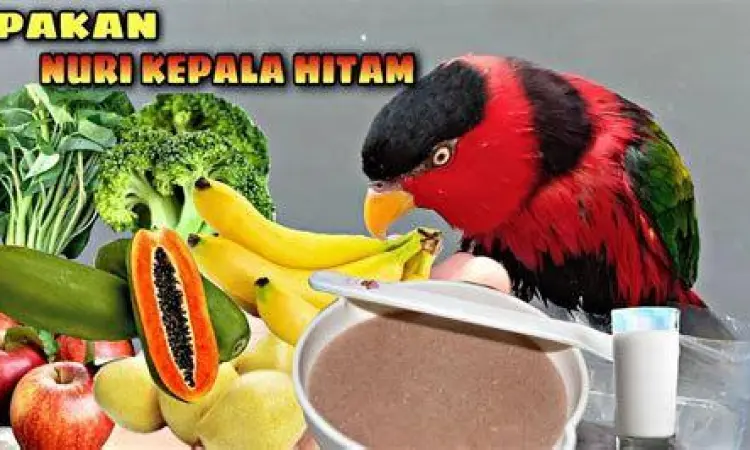 Desir Arman menggunakan sihir analisis dalam pertempuran