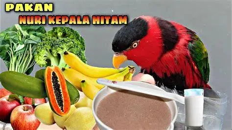 Art Evolution Manhwa Perubahan kualitas seni dari awal hingga akhir chapter