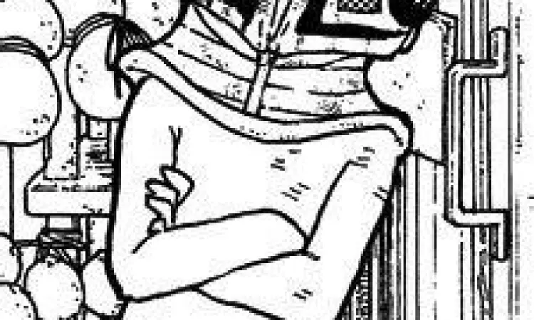 Arc Gugu yang Emosional Karakter Gugu dan Fushi